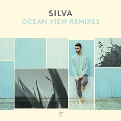 Ocean View Remixes 專輯 Silva/Baby Brown/DJ Squizz