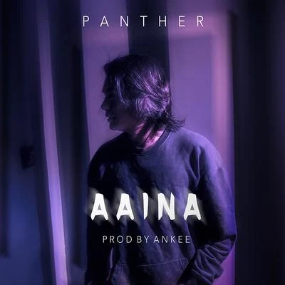 Aaina 专辑 Panther