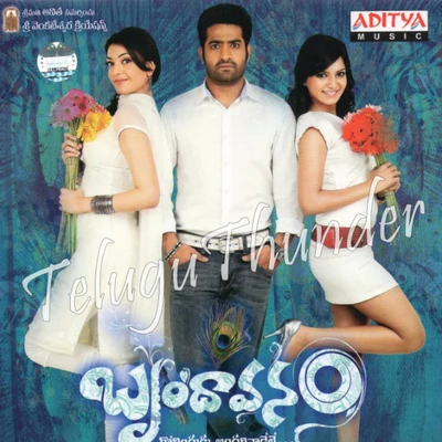 Brindavanam 專輯 Thaman S