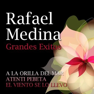 Rafael Medina Grandes Exitos 專輯 Rafael Medina