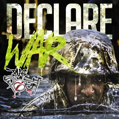 Declare War 專輯 Soulbrotha/Krumbsnatcha/NYGz/Blaq Poet/Large Professor