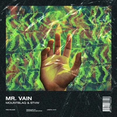 STVW Mr. Vain (STVW & Mountblaq Festival Edit)