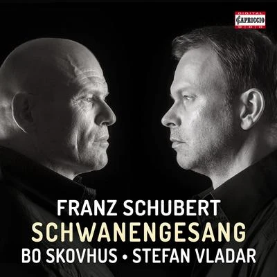 Patrick HenckensBo SkovhusAnna NetrebkoWiener PhilharmonikerNikolaus Harnoncourt SCHUBERT, F.: Schwanengesang (Skovhus, Vladar)