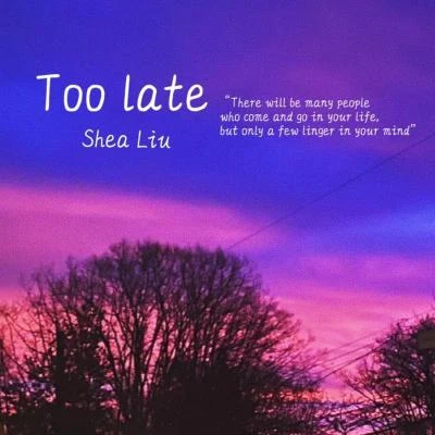 Too Late 專輯 劉潤潼/楊美琪/Claudia/覃昱翔/林樂儀