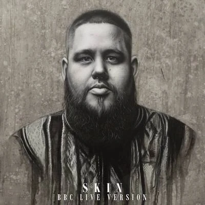 Skin (Remixes) 专辑 Rag'N'Bone Man/Calvin Harris