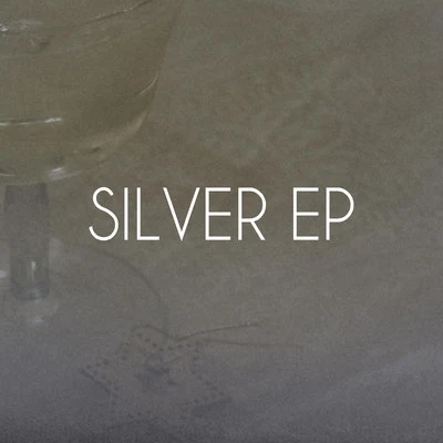 Silver EP 專輯 Martin Eyerer