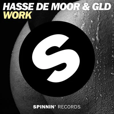 Hasse de Moor WORK