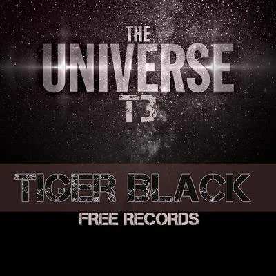 The Universe 专辑 Black Tiger Sex Machine