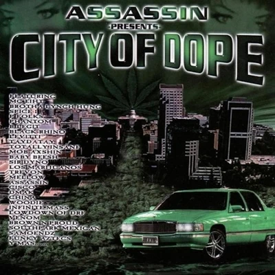 DJ King Assassin City Of ****