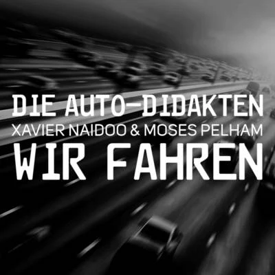 Wir fahren 专辑 Samy Deluxe/Moses Pelham/Haudegen/Thomas D/Alin Coen Band