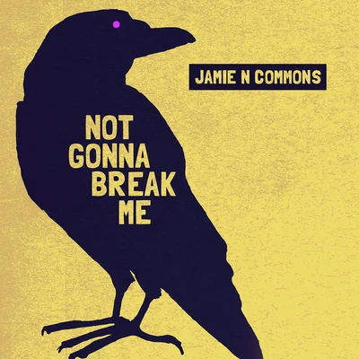 Not Gonna Break Me 专辑 Grizfolk/Jamie N Commons