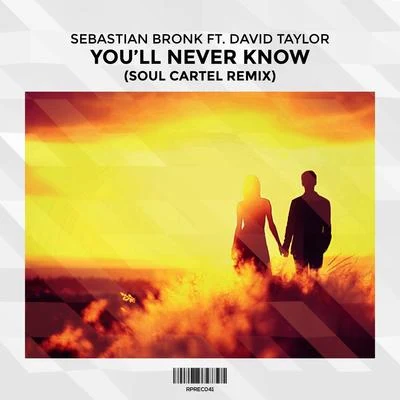 David Taylor Youll Never Know (Soul Cartel Remix) [feat. David Taylor]