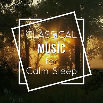 Classical Music for Calm Sleep – Rest with Tchaikovsky, Calm Your Mind, Peaceful Note 專輯 Classical Music Songs/Classical Lullabies/Classical Christmas Music