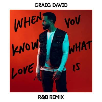 When You Know What Love Is (R&B Remix) 專輯 Craig David