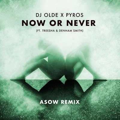 Now or Never (feat. Treesha & Denham Smith) [Asow Remix] 專輯 Denham Smith/Sr. Wilson/Heavy Roots/Tianobless/Ras Xtr3me