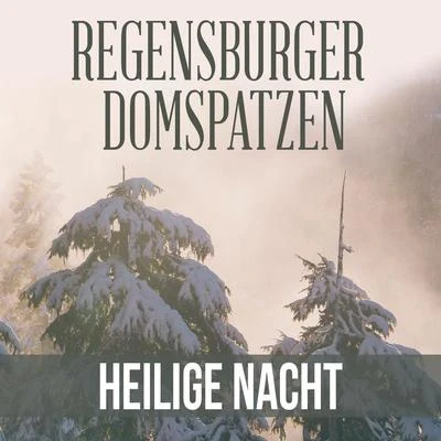 Heilige Nacht 專輯 Roland Buchner/Regensburger Domspatzen