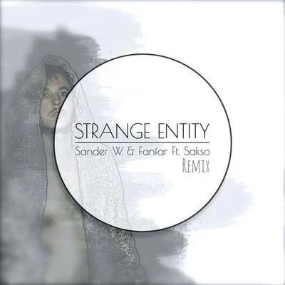 strange entity (San的RW fan far remix) 專輯 Sander W.