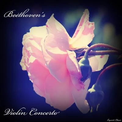 Violin Concerto in D major, Op. 61 专辑 Beethoven/Franz Schubert/Bach/Liszt/Franz Liszt