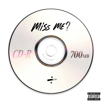 Miss Me? 专辑 dvsn