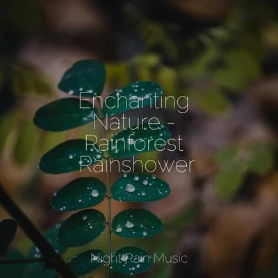 Enchanting Nature - Rainforest Rainshower 專輯 Deep Relaxation Meditation Academy/Celtic Harp Soundscapes/Massagem Guru