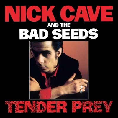 Tender Prey 专辑 Nick Cave & the Bad Seeds