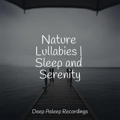 Nature Lullabies | Sleep and Serenity 專輯 Calm Shores/Bedtime Baby/Rain Recorders