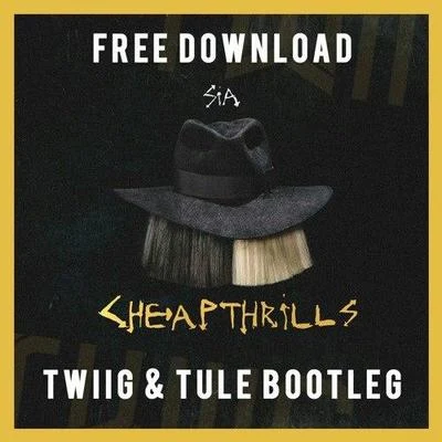 Cheap Thrills (TWIIG & TULE Bootleg) 专辑 TWIIG/Tyler Mann