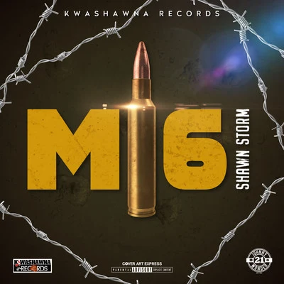 JazzwadShawn Storm M16