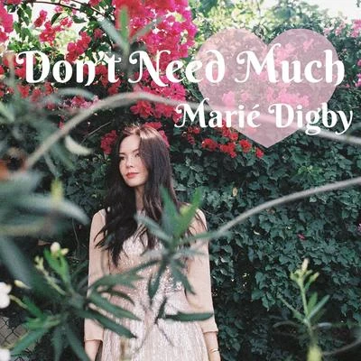 Dont Need Much 專輯 Marié Digby