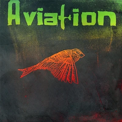 Aviation Aviation