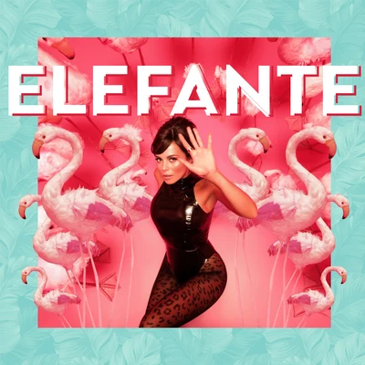 Elefante 專輯 NK