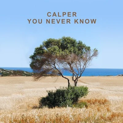 You Never Know 专辑 Calper/Sidelmann