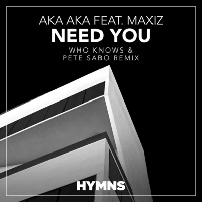 Need You (Who Knows & Pete Sabo Remix) 專輯 Stereo Express/AKA AKA