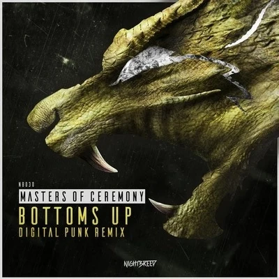 Bottoms Up (Digital Punk Remix) 專輯 Digital Punk/Sub Sonik