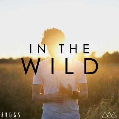 In The Wild 專輯 BRDGS