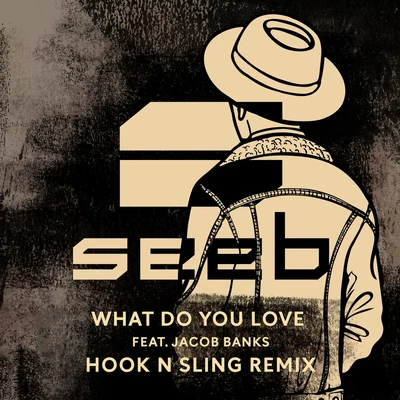 What Do You Love (Hook N Sling Remix) 專輯 Seeb