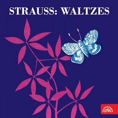 Strauss: Waltzes 專輯 Orchesterbegleitung/Viorica Ursuleac/Clemens Krauss/Eugen Transky/Feodor Schaljapin II