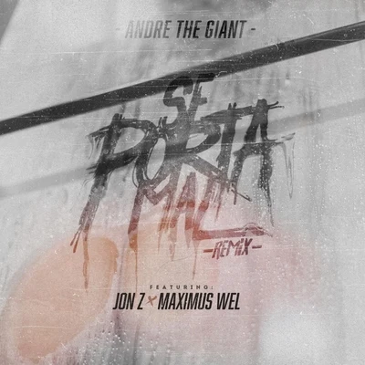 Se Porta Mal (Remix) [feat. Jon Z & Maximus Wel] 專輯 Andre the Giant/Brray/Mora