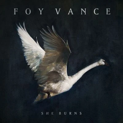 She Burns 專輯 Foy Vance