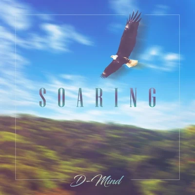 D-Mind Soaring