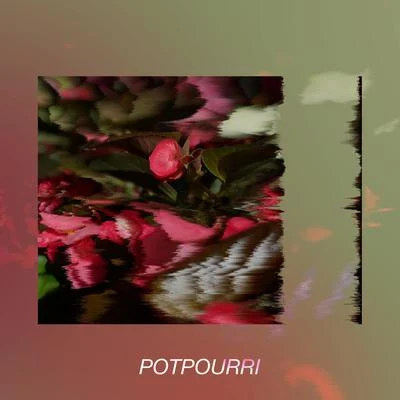 Potpourri 專輯 QARI