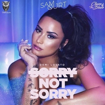 Sorry Not Sorry (Sam Ourt Remix) 专辑 Sam Ourt