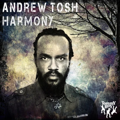 Harmony 專輯 Andrew Tosh