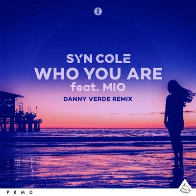 Who You Are (Danny Verde Remix) 專輯 Danny Verde