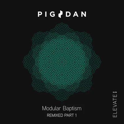 Modular Baptism Remixed, Pt. 1 專輯 Pig&Dan