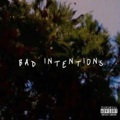 Bad Intentions 專輯 Trip Carter