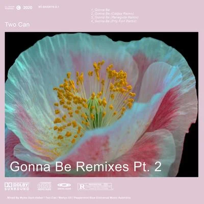 Gonna Be Remixes, Pt. 2 專輯 Two Can