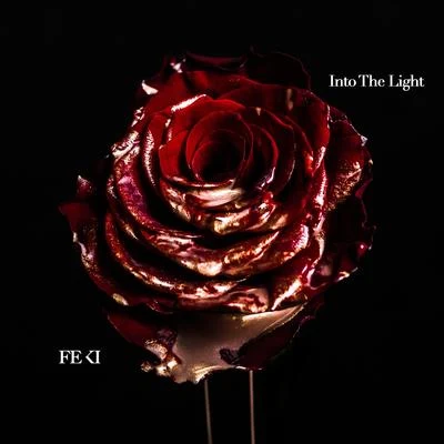 Into the Light 專輯 Feki