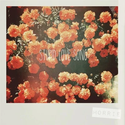 Stupid Love Song 專輯 Morrie