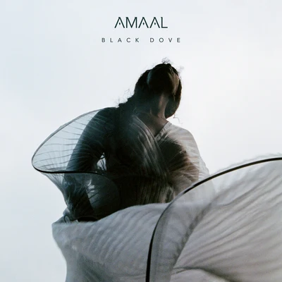 Black Dove 專輯 Amaal